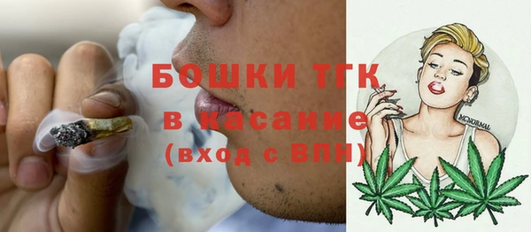 2c-b Горняк