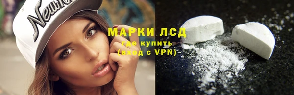 молекула духа Гусев