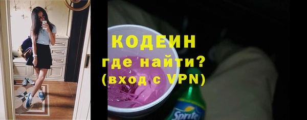 молекула духа Гусев
