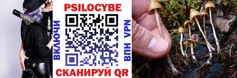 Галлюциногенные грибы Magic Shrooms  Кисловодск 
